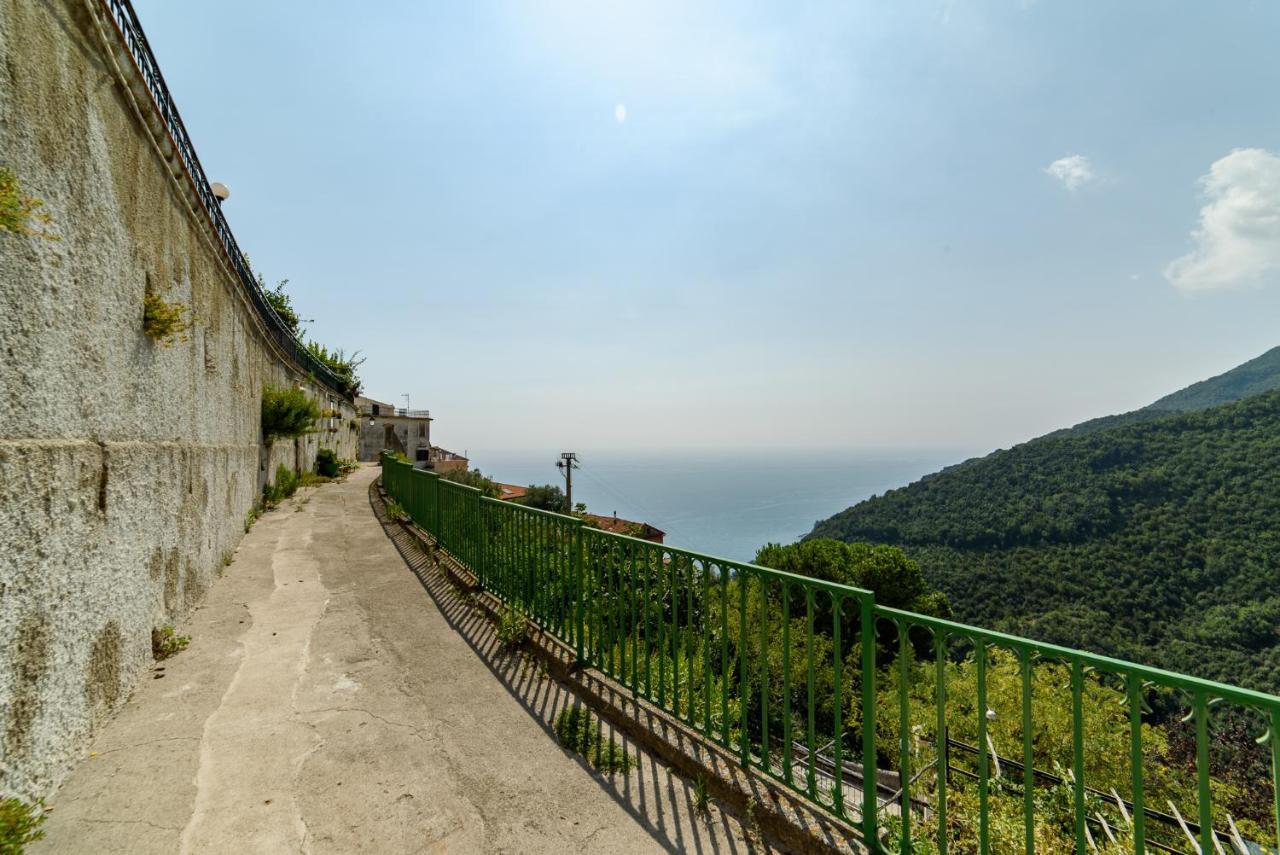 The Sea Stars House: A Gem On The Amalfi Coast! Villa Vietri Dış mekan fotoğraf